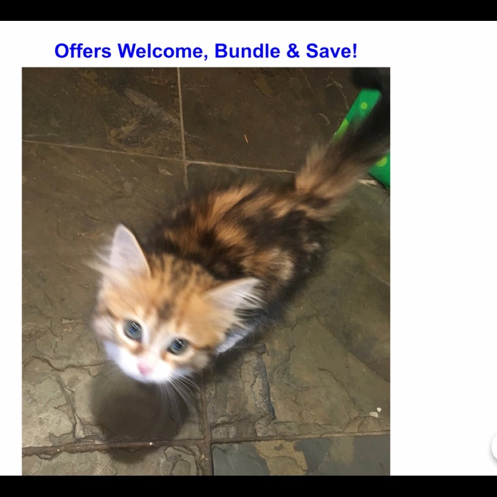 Offers Welcome!